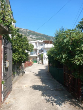 Apartmani Todorović